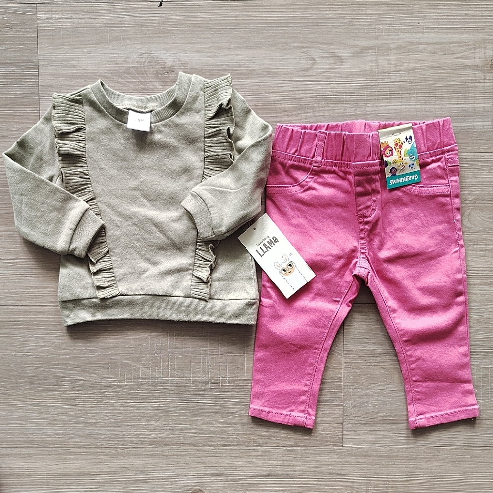 Pink Pants and Ruffle Sweatshirt Set 6-9 Months